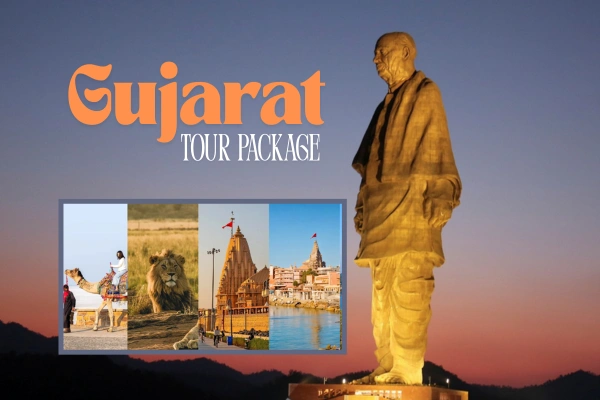 Custom Gujarat Tour